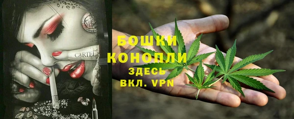 молекула духа Заводоуковск