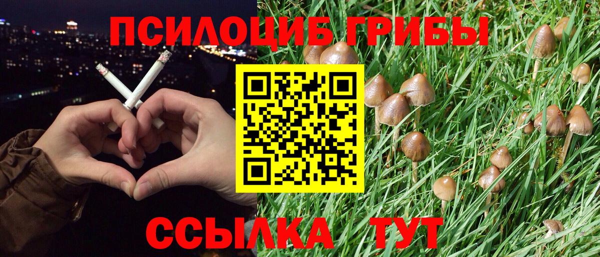 Серов  Псилоцибиновые грибы ЛСД  как найти наркотики  Вход с VPN 